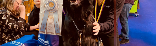 Embark Veterinary